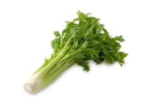 育ってきた環境が違うから